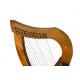 Muzikkon O'Carolan Harp 12 Strings Walnut
