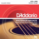 D'Addario EJ17